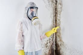 Best Mold Odor Removal Services  in Fussels Corner, FL